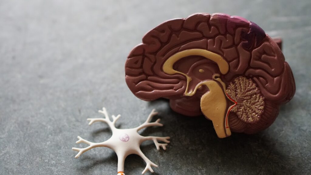 Curious About Ketamine Therapy? Join Us for a Free Educational Evening